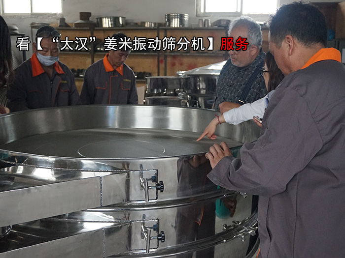 姜米振動篩分機 姜米振動篩分機